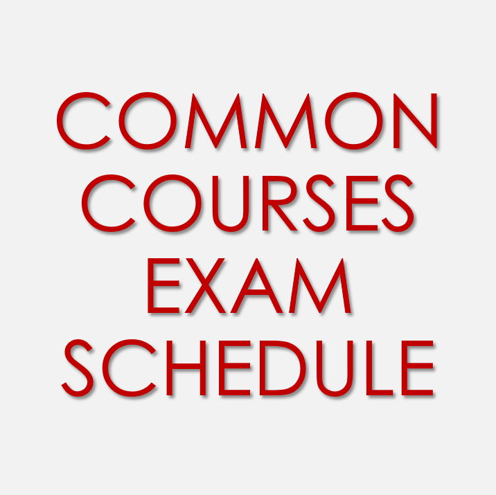 Course Exame 2024-2025 Spring Semester Common Courses Midterm Exam Schedule – NEU ...